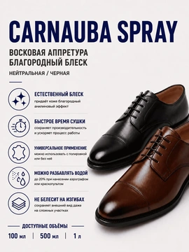 Vlotho CARNAUBA SPRAY Восковая аппретура благородный блеск черная